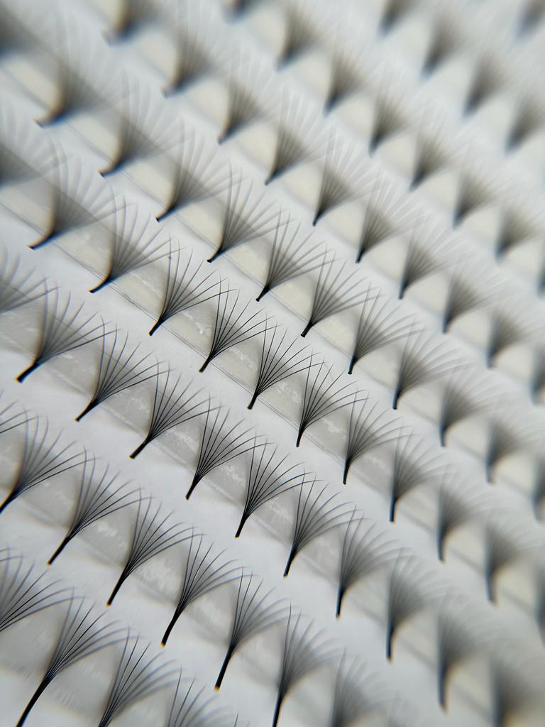 Luxury Pre Made Fans CC Curl